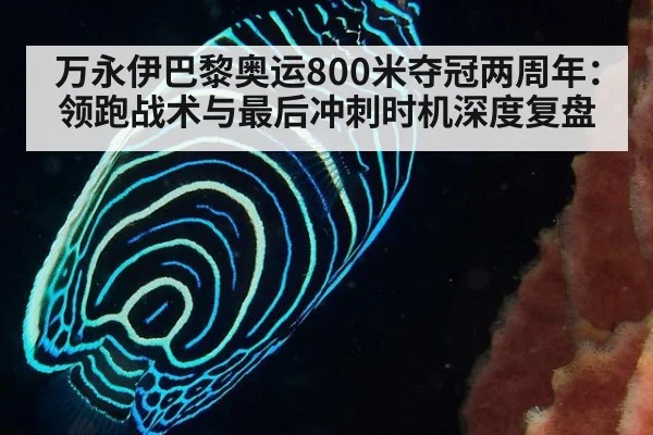 万永伊巴黎奥运800米夺冠两周年：领跑战术与最后冲刺时机深度复盘